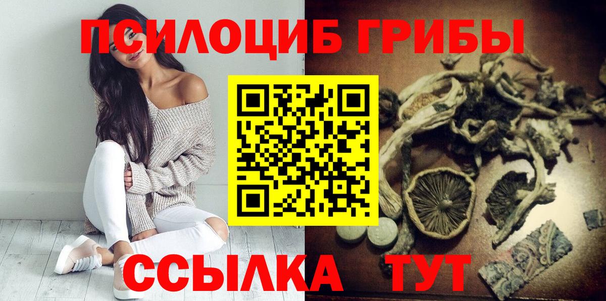 Галлюциногенные грибы Psilocybe  Вход с VPN  Черняховск  Галлюциногенные грибы Cubensis 