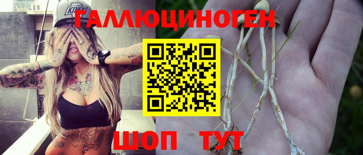 Псилоцибиновые грибы мухоморы Черняховск